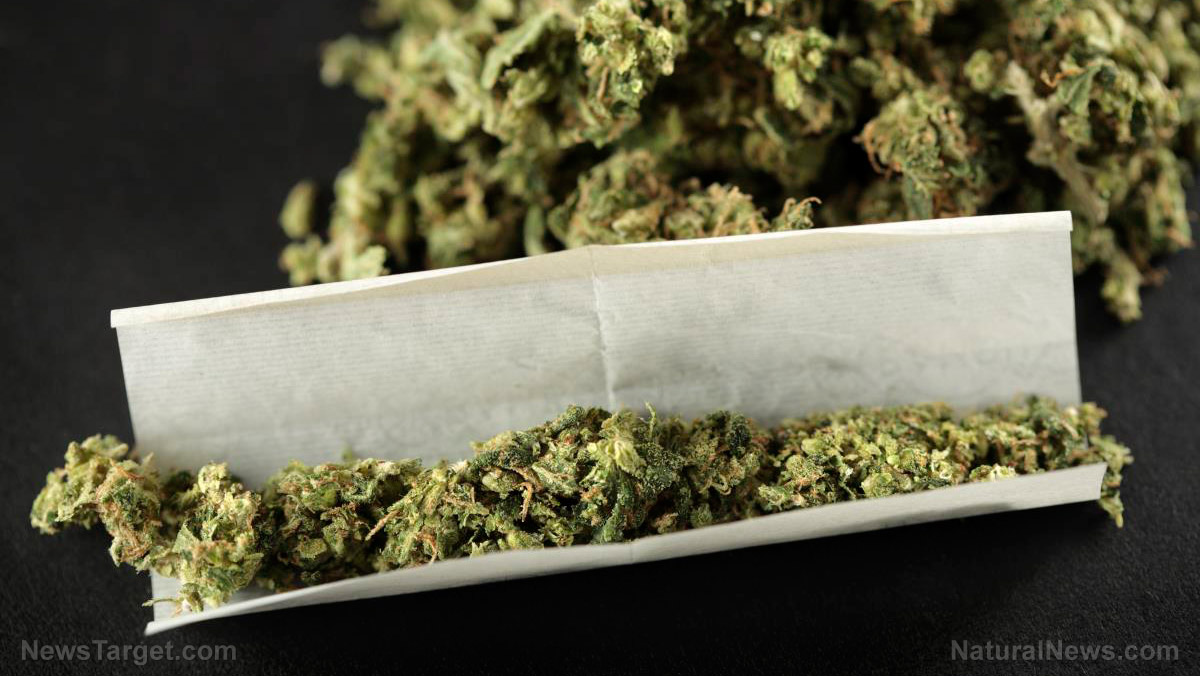 France is “decriminalizing” cannabis nationwide